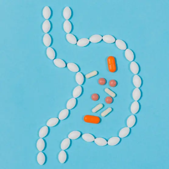 Digestive Wellness
